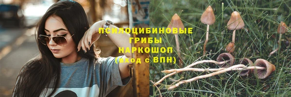 мяу мяу мука Нягань