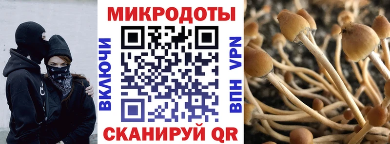 где найти   Магнитогорск  Галлюциногенные грибы GOLDEN TEACHER 