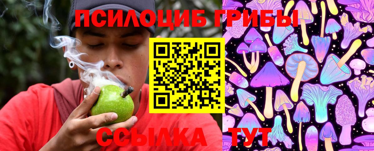 Псилоцибиновые грибы мухоморы Магнитогорск