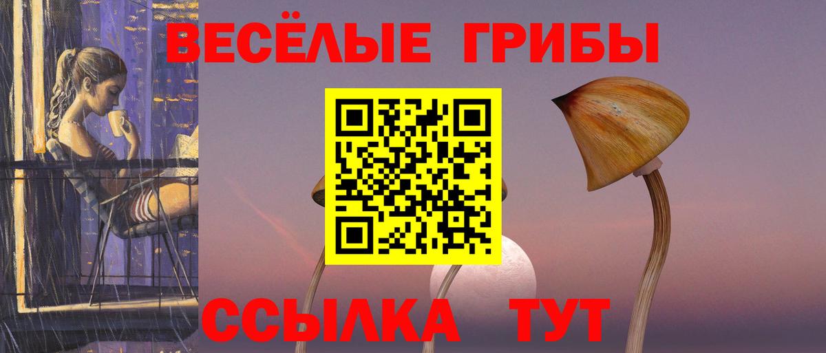 Псилоцибиновые грибы мухоморы  Псилоцибиновые грибы прущие грибы  Магнитогорск  Вход с VPN 